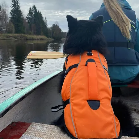 Dom wakacyjny Renovated With Views In Trysil *